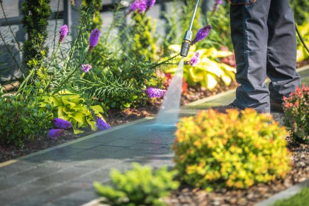 Best Soft Washing for Delicate Surfaces in Athens, TN